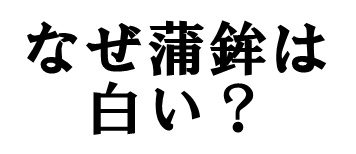 なぜ蒲鉾は白い？