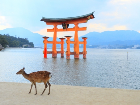 宮島といえば食べ歩き！