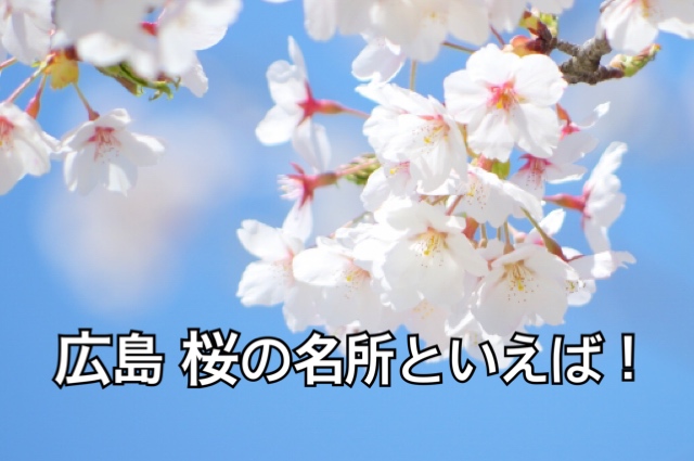 広島　桜の名所といえば！