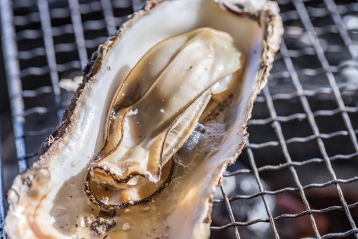 広島在住いずえりが選ぶ、広島土産で喜ばれる牡蠣のオイル漬けはこれだっ!!