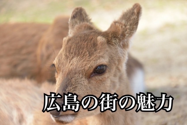 広島の街の魅力とオススメのお土産　ゲスト：いとうひとみさん