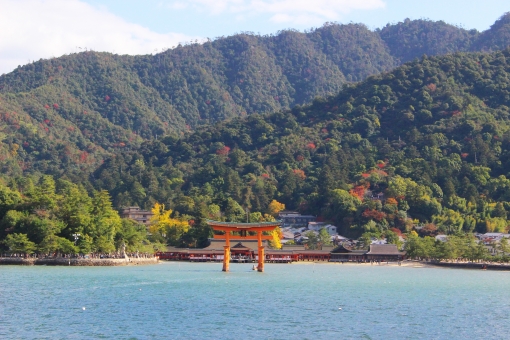 明日は宮島でかまぼこ献上祭