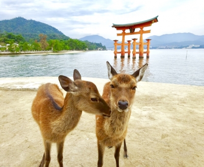 前もって準備しておくことの大切さ