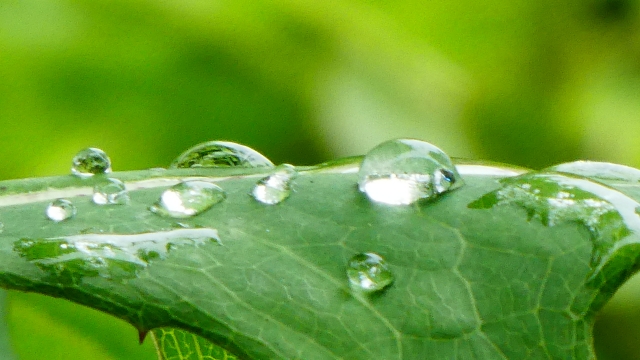 休みの雨の日はこれ！